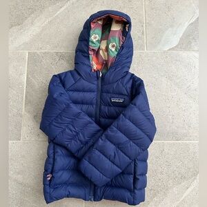 Patagonia Reversible Down Sweater Hoody